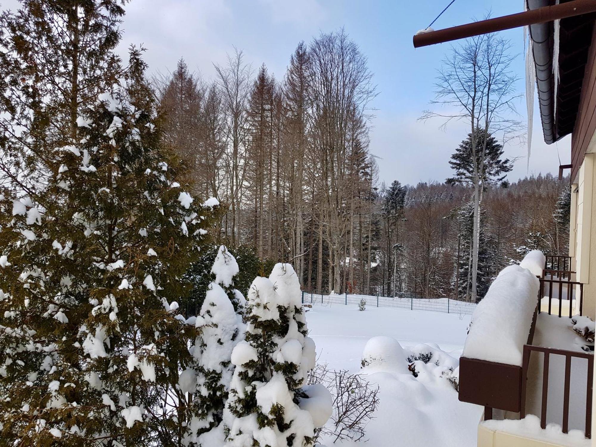 Appartement Harzbutze 60